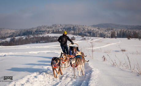 Galeria - Dog Sledding - Alaskan Husky Adventure and Bonfire in a Tipi - Podwilk