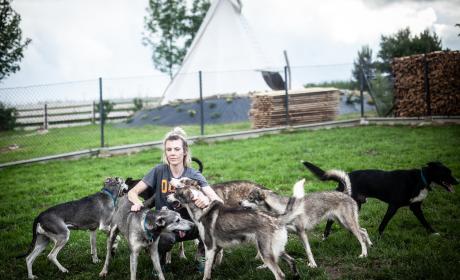 Galeria - Dogtrekking