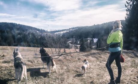 Galeria - Dogtrekking