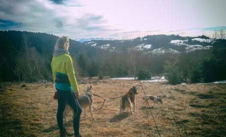 Galeria - Dogtrekking