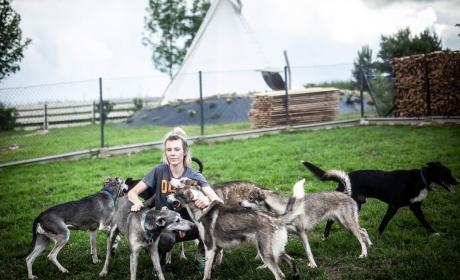 Galeria - Spotkanie z psami zaprzęgowymi w&nbsp;podwilczańskiej bazie