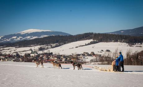 Galeria - Przygoda z psim zaprzęgiem Zakopane / Podwilk