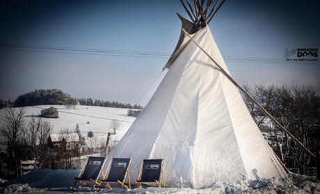 Galeria - Dog Sledding - Alaskan Husky Adventure and Bonfire in a Tipi - Podwilk